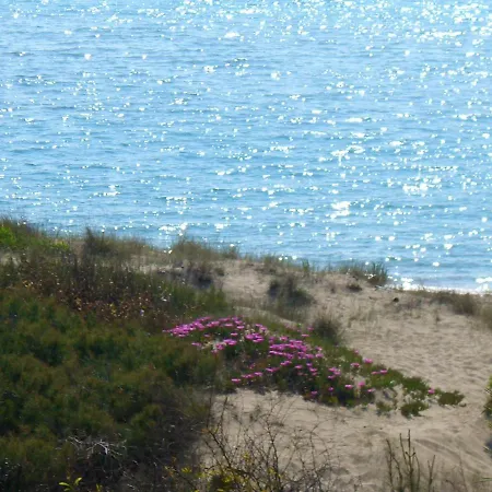 Yucca Frontemare Lägenhet