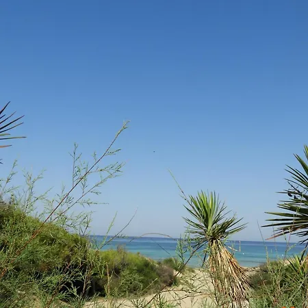 Yucca Frontemare Gallipolli