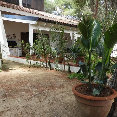 Apartment Yucca Frontemare *