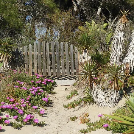 Yucca Frontemare Gallipoli
