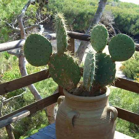 Yucca Frontemare شقة