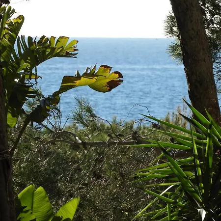 Yucca Frontemare * Gallipoli