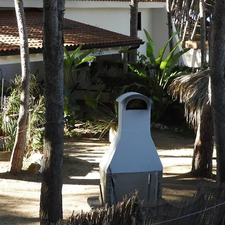 Yucca Frontemare *