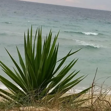 Apartment Yucca Frontemare Gallipoli